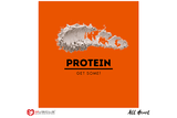 Protein Blog Post