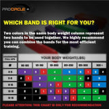 Muscle Engineering Resistance bands Heavy Duty Loop Resistance Band Heavy Duty Loop Resistance BandHeavy Duty Loop Resistance Band